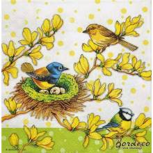 Serwetka decoupage firmy AMBIENTE wiosenne ptaszki 33x33cm