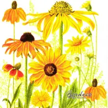 Serwetka do decoupage rudbekia 25x25 firmy IHR