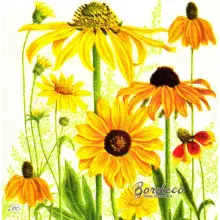 Serwetka do decoupage rudbekia 33x33 firmy IHR