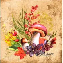 Serwetka do decoupage grzyby 33x33 seria TI-FLAIR