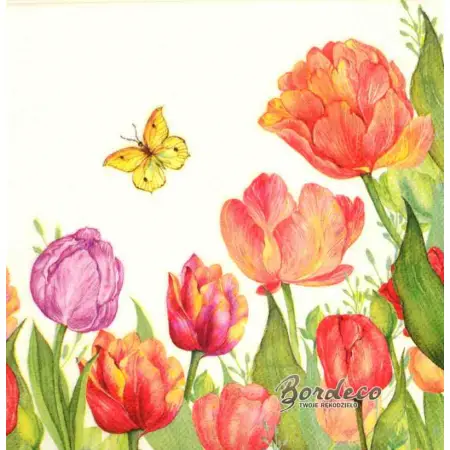 Serwetka do decoupage tulipany i motyl 33x33 seria DAISY